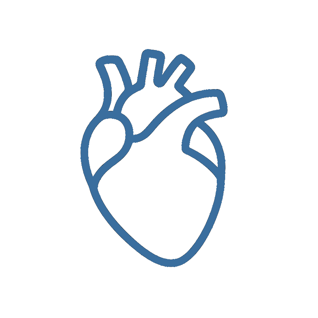 Cardiovascular